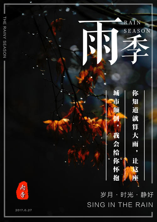 一比一仿挪威护照电子版